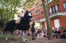 Performances equestres 005 * 5184 x 3456 * (8.28MB)